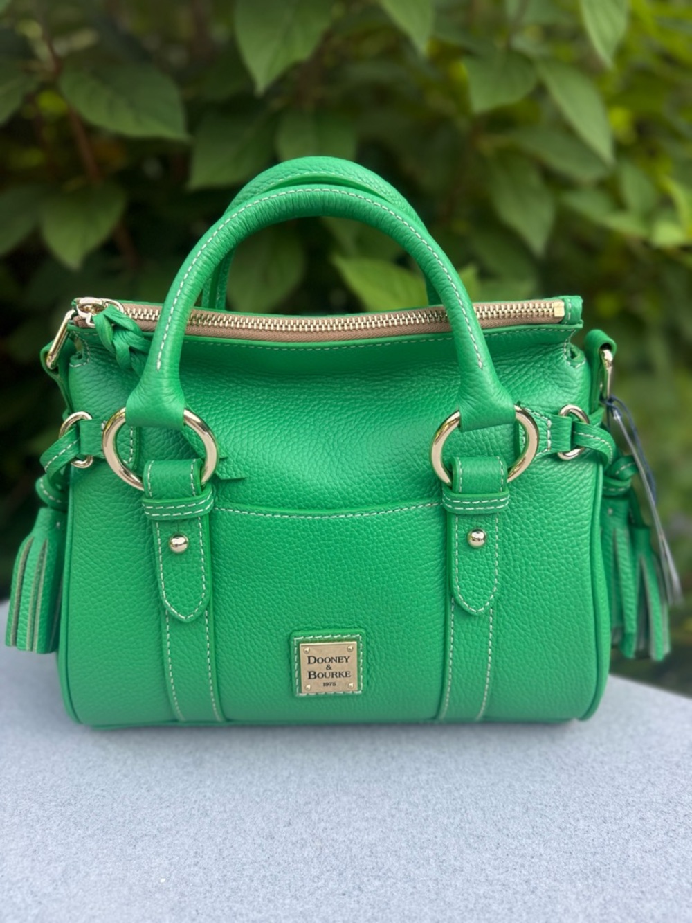 Dooney & Bourke NWT Lucca Satchel
